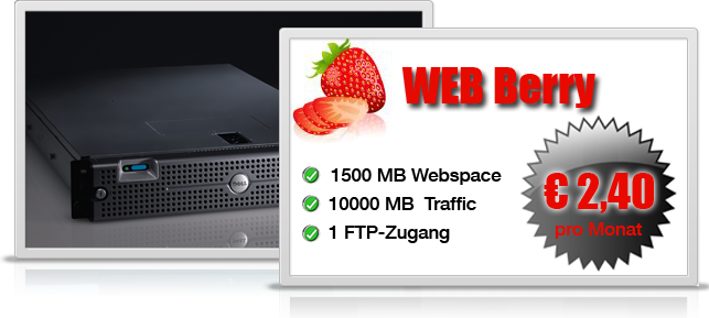 Webhosting 4 You: WEBBerry